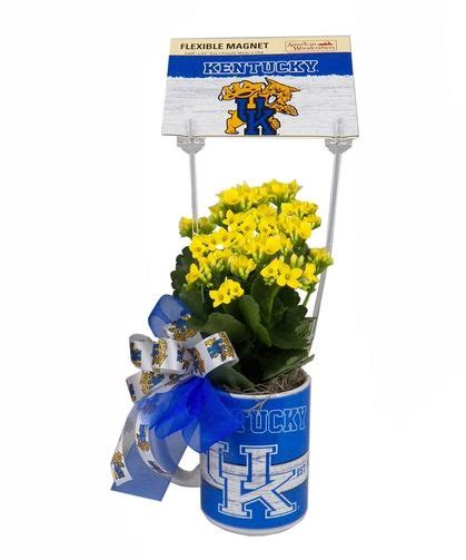 Need to have flowers delivered super fast? UK Mug Kalanchoe Plant #UK | Plants uk, Same day flower ...
