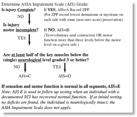 Asia Impairment Scale Spinal Nerve Spinal Cord Injury Asia Score