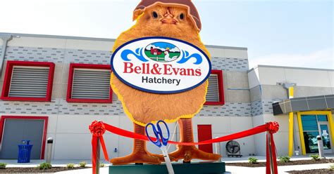 Bell And Evans Believes Better Chicken Dinner Starts At Birth