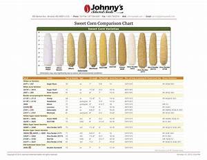 Sweet Corn Varieties In Detail From Johnny 39 S Selected Seeds Sweet