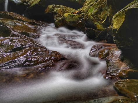Beautiful Silky Smooth Water Effects Cascading Over Rocks Branches