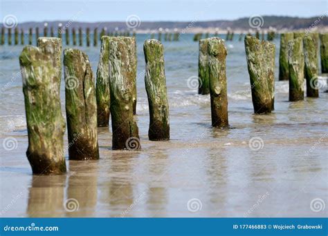 Wooden Wave Breakers In The Sea Stock Image Image Of Tourism