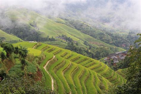 Ping An Longji Rice Terraces Hike A Beautiful Hour Hike To Danzhai