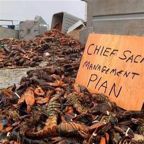 Indigenous Leaders Condemn Attacks On Mikmaw Lobster Harvest Comic Sands
