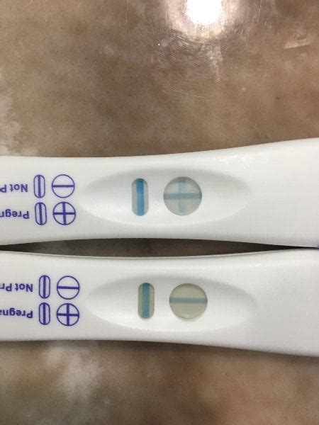 I Took A Pregnancy Test And It Came Back Negative Pregnancywalls