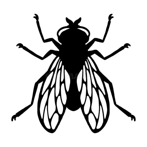 Fly Insect Black Silhouette Design Element Vector Illustration