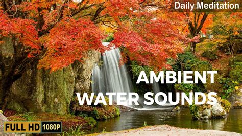 Waterfall Jungle Sounds Ambient Water Sounds For Relaxing White