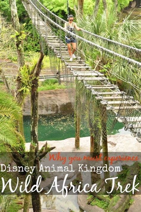 Disney Wild Africa Trek Review How To Conquer Your Fears