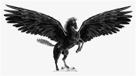 Pegasus Drawing Realistic Leftwings