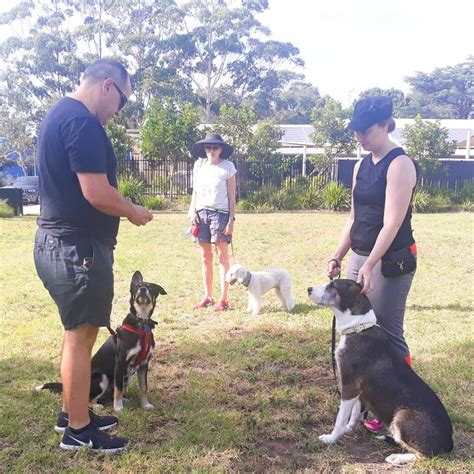 Canine Trainer Inner West Sydney Ensure Good Manners
