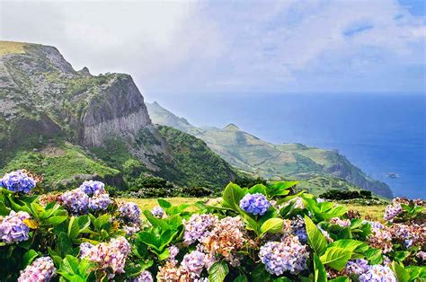 The Island Of Flores Portugal Travel Guide