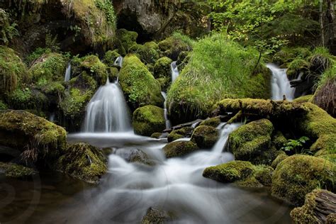 Mossy Moss Green Waterfall Water Forest Wet By Lisa Bell Photo