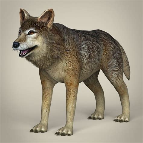 3d Model Low Poly Realistic Wolf Vr Ar Low Poly Max