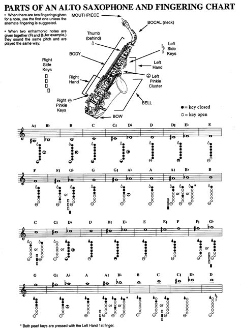 Alto Sax Finger Chart All Notes
