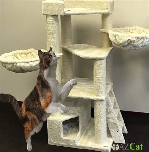 What is the best cat tree for large cats? Cat Toys | Best Cat Product Reviews & Tip