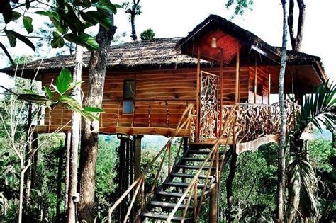 20 Tree Houses In Kerala For A Perfect Date With Nature In 2023