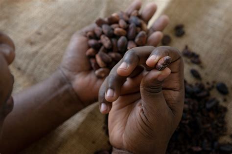 Chip In To End Child Slavery In The Chocolate Industry