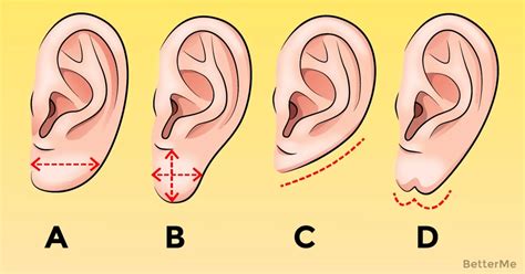 Thats What The Shape Of Your Ears Can Say About Your Health Oreja