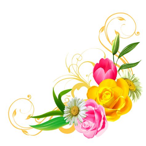 Collection of HQ Floral PNG. | PlusPNG