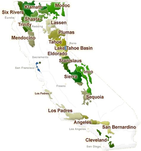 A Guide To Californias National Forests Part 1 Group Tours