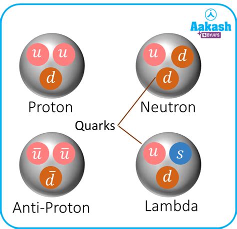 What Is Quark In Physics Definition Types And Importance Of Quark Aesl