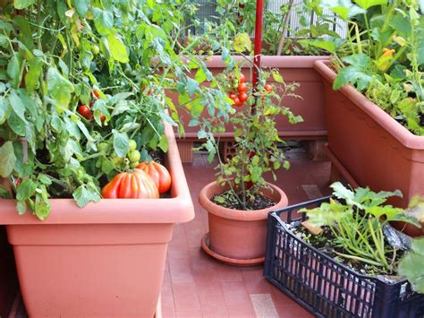 Container Gardening Growing Vegetables In Containers