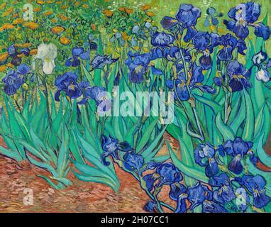 Lirios Por Vincent Van Gogh Getty Museum En Los Angeles Estados