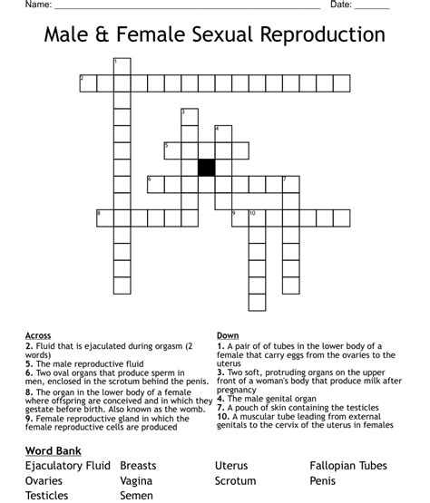 Male And Female Sexual Reproduction Crossword Wordmint