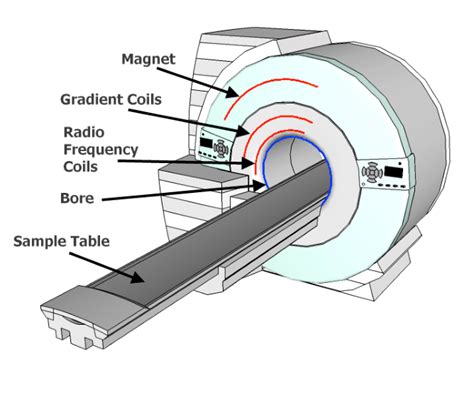 What Is Mri Vector Magnets