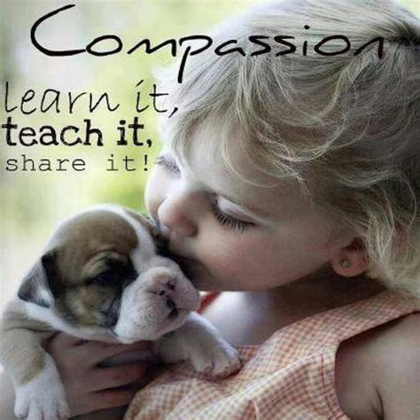 690 best animal compassion quotes images on pinterest. Compassion | Animal quotes, Animals, Funny animal pictures