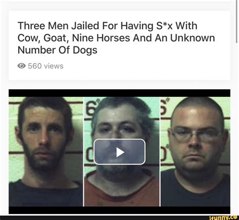 Three Men Jailed For Having Sx With Cow Goat Nine Horses And An