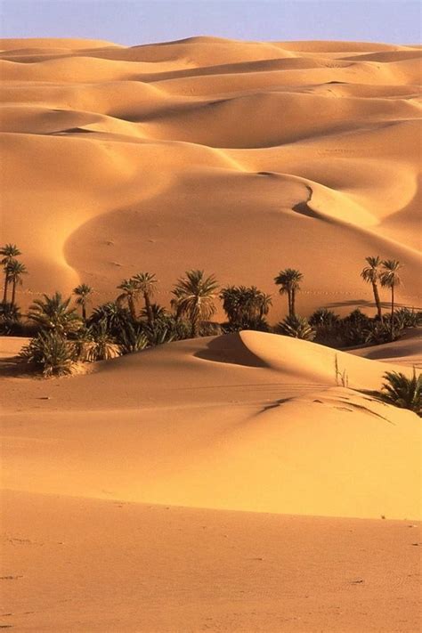 Sahara Desert Wallpaper Desert Dream Desert Life Desert Oasis
