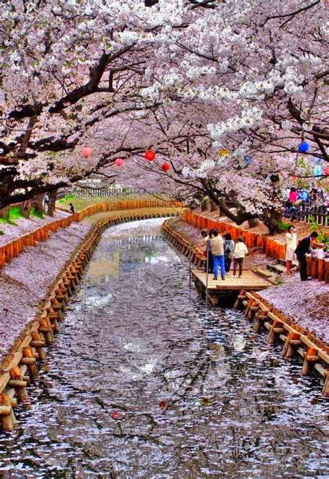 Places For Traveling Top 5 Best Place To Visit In Japan