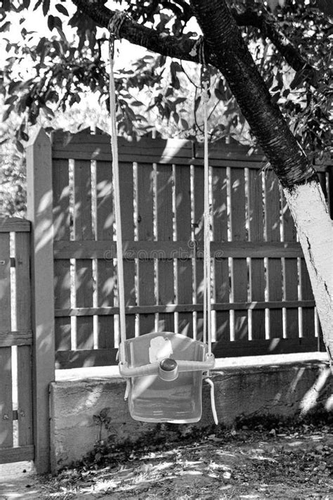 Photography On Theme Empty Baby Swing Hanging Stock Photo Image Of