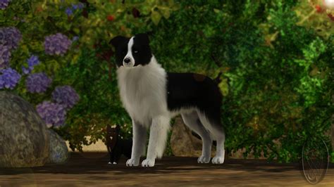 Sims 3 Pets The 9th Pup By Spiritythedragon On Deviantart