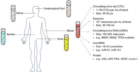 Circulating Biomarkers In Different Body Fluids Including Blood