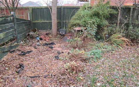 Love Your Garden Series Episode Before And After Photos