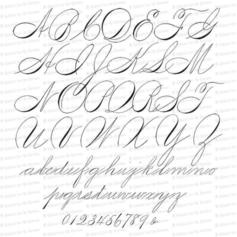 Spencerian Penwork Alphabet Vector Clipart Letters Calligraphy Svg Png