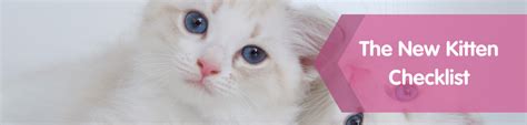New Kitten Checklist Pet Drugs Online
