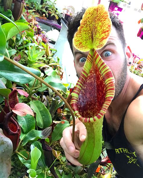 With spring not far away, all the world is turning green: 10 reasons why you should grow an insect eating plant ...