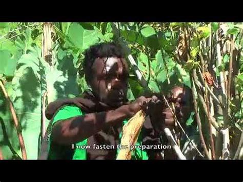 Check spelling or type a new query. Marcotting of a local fruit tree - YouTube