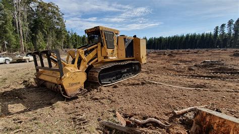 Tigercat Mulcher Used In Regrowth Project For Iconic Sugar Pine Walk