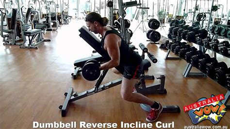 Dumbbell Reverse Incline Curl Youtube