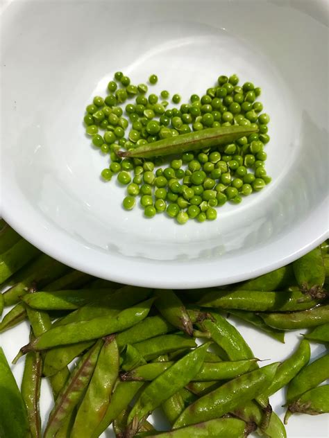 Helen A Lockey Wild Beach Peas Plants And Their Culinary Challenges