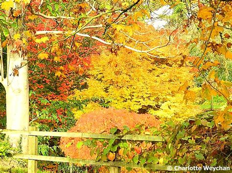 Wordless Wednesday Autumn Colours At Sir Harold Hillier Gardens