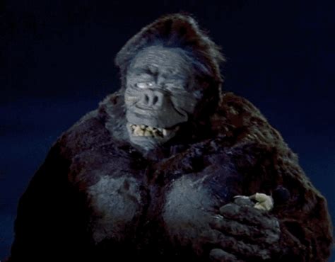This isn't the first time has paired off, as seen in king kong vs. king kong gif | Tumblr