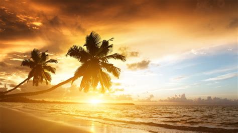 3840x2160 Wallpaper Beach Tropics Sea Sand Palm Trees Sunset