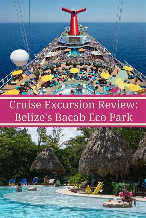 Cruise Excursion Review Bacab Eco Park In Belize Carrie On Travel