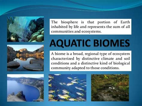 Types Of Aquatic Biomes