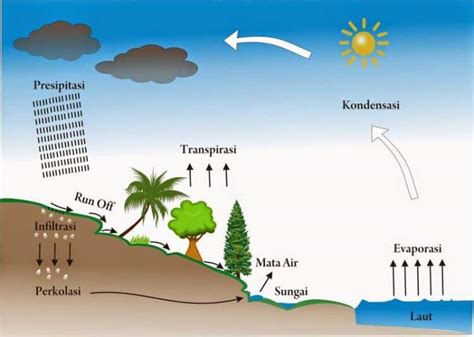 Siklus Hidrologi Pengertian Proses Jenis Dan Manfaatnya